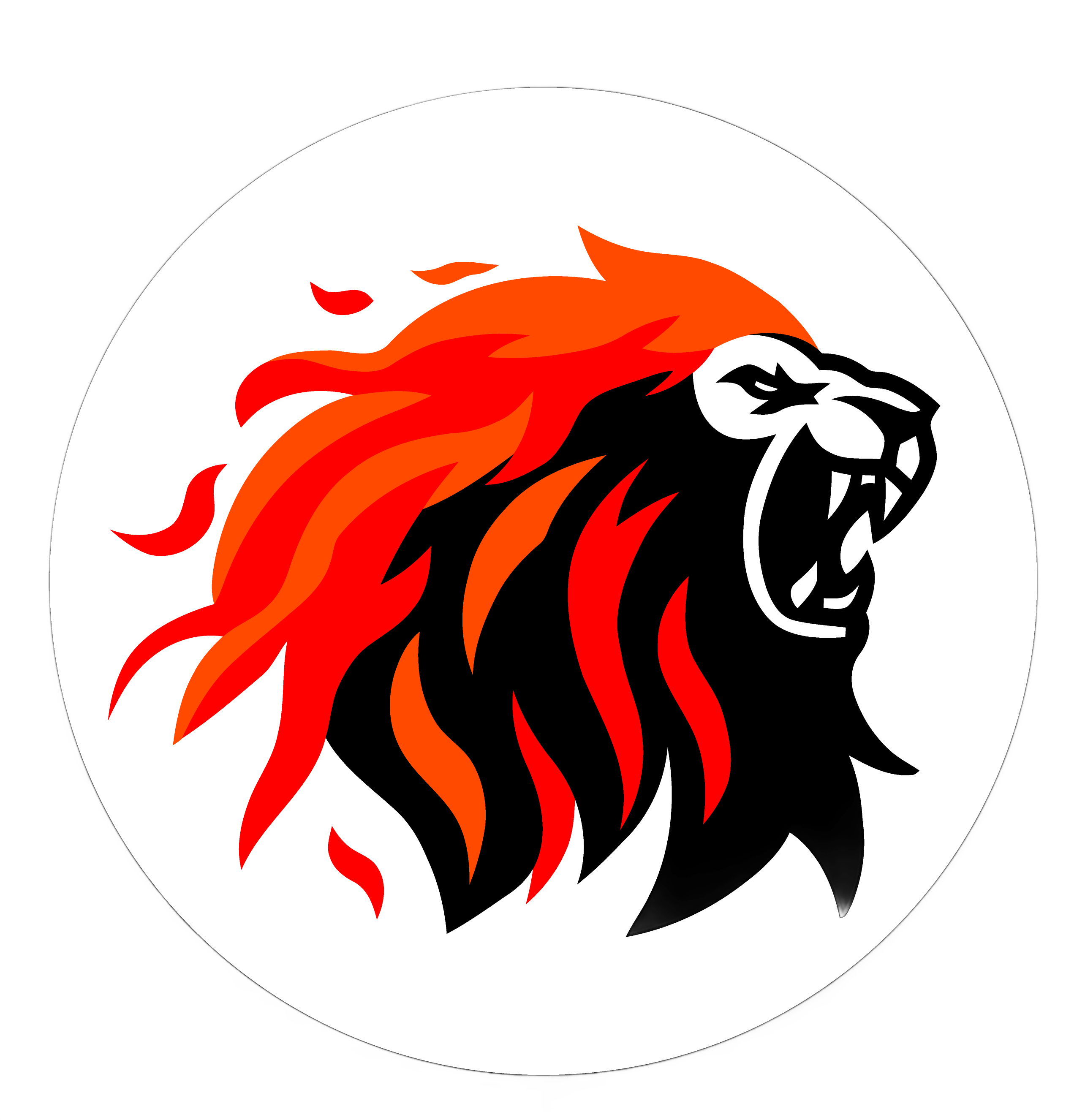 Lion Media